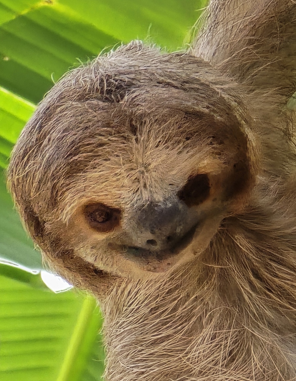 2026-04-07-D Roatan 20260407_123321_ji.jpg